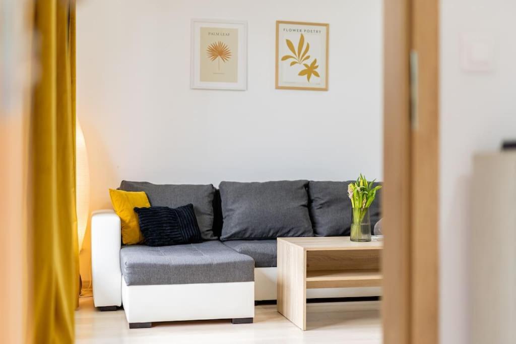 Cityscape Oasis: Active Heaven Pressburg